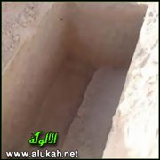 أفظع المناظر