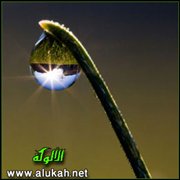 لا تحقرن من المعروف شيئا