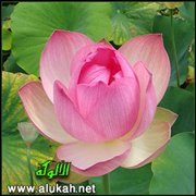 اسمي زهرة