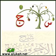 س و ج على شرح المقدمة الآجرومية (29/44)