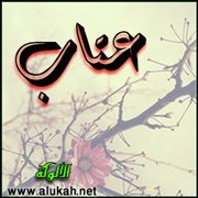 عتاب (قصيدة)