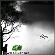 أين أذهب هذا المساء؟!
