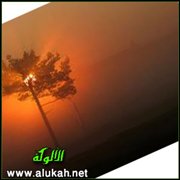 الصورة الأخيرة