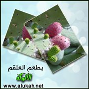 بطعم العلقم