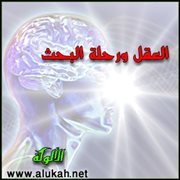 العقل ورحلة البحث (قصيدة)