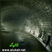 أسماك المجارير