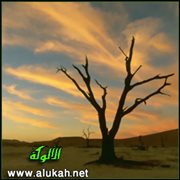 غربة واضطهاد (قصة قصيرة)
