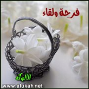 فرحة ولقاء (قصيدة)