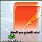 أعذب الأشعار في مدح الأصهار (قصيدة)