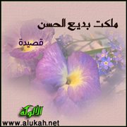 ملكت بديع الحسن (قصيدة)