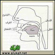 مخارج الحروف