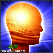 الاعتراف بحقوق العقل والتحاكم إليه