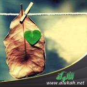 أبو الدرداء ووقفة مع الذات