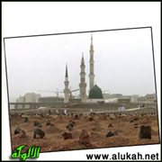 نم في البقيع (قصيدة)