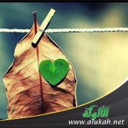 أجمل رداء