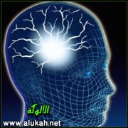 كيف تقوي ذاكرتك؟