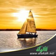الاحتساب .. قلب واسع!!