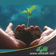 أمي وأخواتي يعاملْنَنِي معاملة سيئة