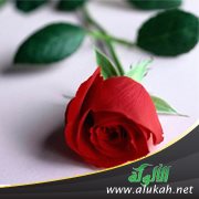 زوجي لا دين ولا دنيا