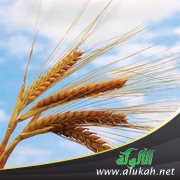 مرآة العمل الخيري (89)