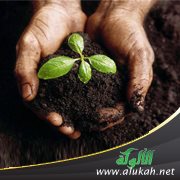 ميكروبات مشاركة لا مغالبة!!