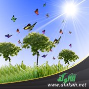الجنة كأنك تراها (3)
