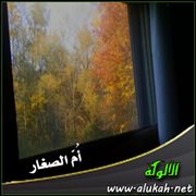 أم الصغار (1)