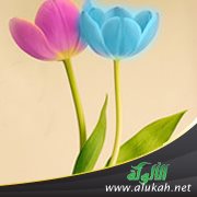 كشفتُ عورتي بنفسي!