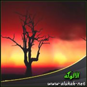 صارت جحيما من الشهر الأول
