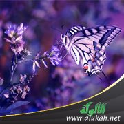وقعت في الزنا، وسأتزوج قريبًا