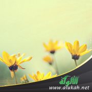 ولماذا لا نتفاءل؟!