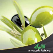 الزيتون شجرة مباركة وسائل من ذهب