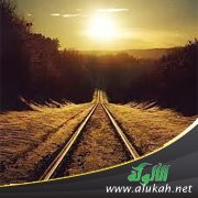 قضية التوءم (رواية)