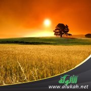 حقيقة الشعر وجوهره