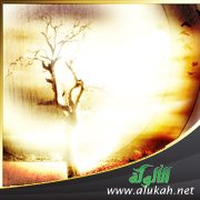 غضبة الشعر (قصيدة)