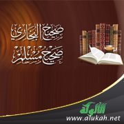 الأماني في الجمع والتقريب بين صحيحي مسلم والبخاري (7)
