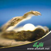 لؤلؤة الحجاز نظم عقيدة ابن باز