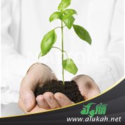 سلمان الخير .. دروس من سيرته لإصلاح واقعنا (1)