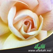 إليك زوجتي.. حتى يخلد التاريخ في الصالحين ذكرنا