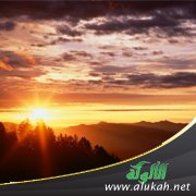 صدى البردة (قصيدة)