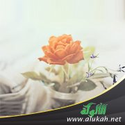تزوَّجتْ محبوبتي، فكيف أنساها؟!
