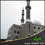 حين تجتمع الحرب مع البرد
