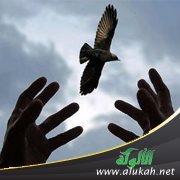 قصيدة وطن