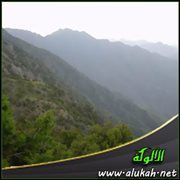 في وادي آل عامر - أبها
