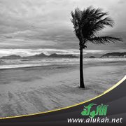 تصريف الرياح وهدي النبي صلى الله عليه وسلم