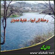 رحلة إلى أبها .. غابة عدوان