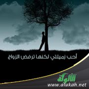 أحب زميلتي لكنها ترفض الزواج