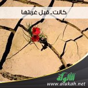 كانت.. قبل غربتها