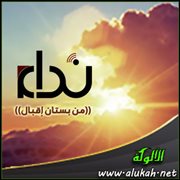 نداء ( قصيدة )