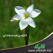 التزامي سر سعادتي